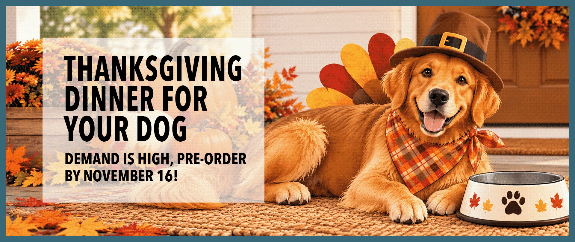 Thanksgiving dinner for your dog. Demand is high, pre-order by November 16!